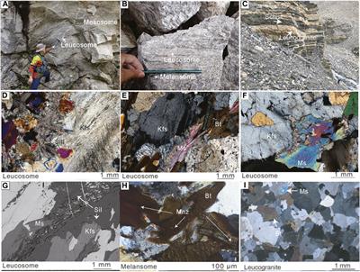 Sr-Nd-Hf Isotopic Disequilibrium During the Partial Melting of Metasediments: Insight From Himalayan Leucosome